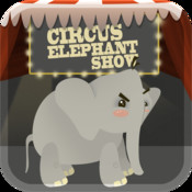 Circus Elephant Show 
